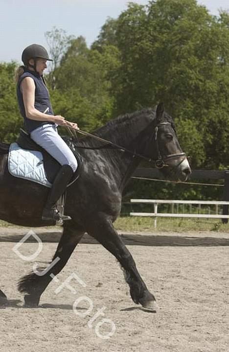 Nordsvensk Skovhest Miss Nelly - Nelly i flyvende trav.. ;o) Med Malene.. Rideskolestævne D. 5/6... Med de måtte starte ude for klassen. Da malene er ridelære på BAL. billede 5