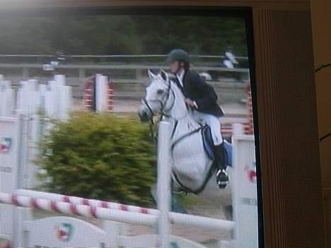 Irsk Sportspony Abbeytown Big Money*Solgt - Omspring i LB´en det blev til en 5 plads billede 8