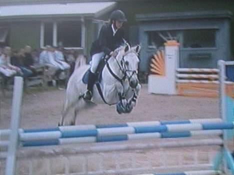 Irsk Sportspony Abbeytown Big Money*Solgt - Fra min første LA- Det gik barsuper duper billede 9