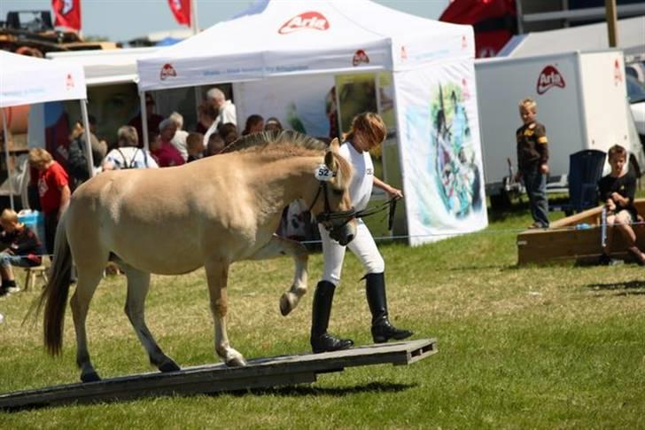Fjordhest Freja - Freja og cecilia... Dyrskue, agility billede 10