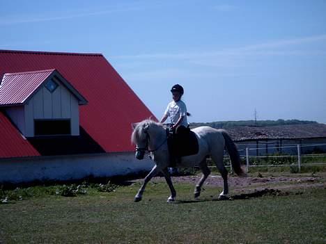 Anden særlig race Krusia Speedy - NYT!!! Maria og Krusia ude og ride efter en lang pause!! Taget d. 13. juni, 2004!! billede 4