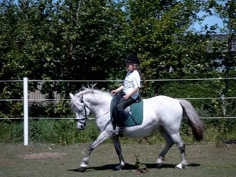 Anden særlig race Krusia Speedy - NYT!!!! Maria og Krusia igen!!!  Taget d. 13. juni, 2004!! billede 5
