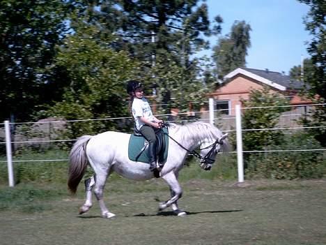 Anden særlig race Krusia Speedy - NYT!!!! Maria og Krusia igen!!!  Taget d. 13. juni, 2004!! billede 6