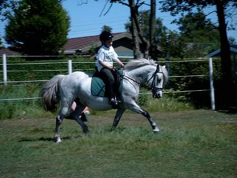 Anden særlig race Krusia Speedy - NYT!!!! Maria og Krusia igen!!!  Det er min mor, som sidder bag ved!  Taget d. 13. juni, 2004!! billede 7