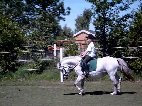 Anden særlig race Krusia Speedy - NYT!!!! Maria og Krusia igen!!!  Taget d. 13. juni, 2004!! billede 8