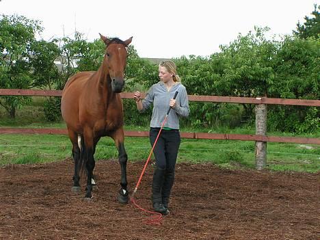 Anden særlig race Liri - Liri og Sjoko billede 9