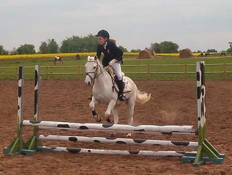 New Forest Andrea SOLGT - Her springer vi LD i SRLA.. Vi vandt! :) billede 7