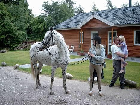 Knabstrupper Bine - Det hjælper ikke du ser den anden vej. billede 8