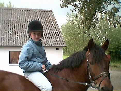 Anden særlig race Shannon  - Mig og min skat red lige hjem til min far billede 7