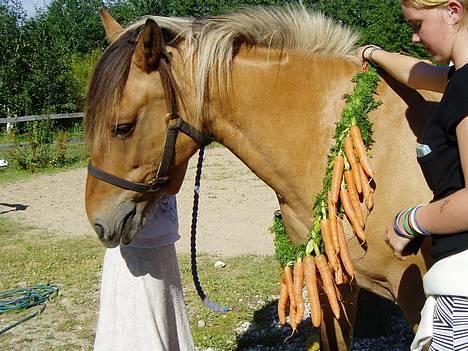 Anden særlig race Bianca  SOLGT ;) - Bianca på hendes føz´dag billede 2