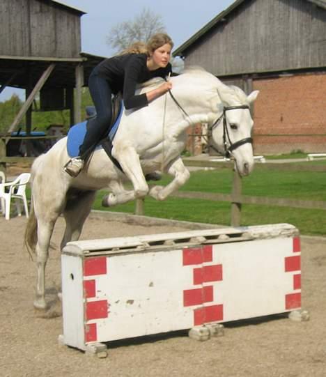 Connemara Barholts Madonna - springtræning 2004 (jeg ved jeg har glemt hjælmen!!!) billede 2