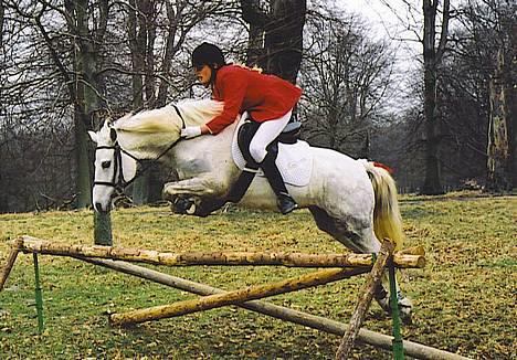 Connemara Barholts Madonna - Madonna til hendes livs første jagt (2001), over den første opbyggede forhindring. Hun er ikke helt tryg ved forhindringen og har krøllet forbenene ekstra højt op :) billede 7