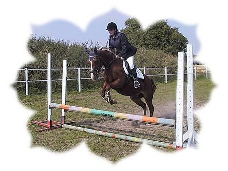 Oldenborg Freja - 1982 til 2013 R.I.P - En vellykkede oxer ..... :O) billede 8