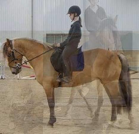 Anden særlig race Bianca  SOLGT ;) - bianca billede 4