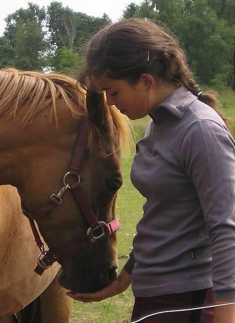 Tysk Sportspony Agness - solgt  - Agnes og jeg billede 10