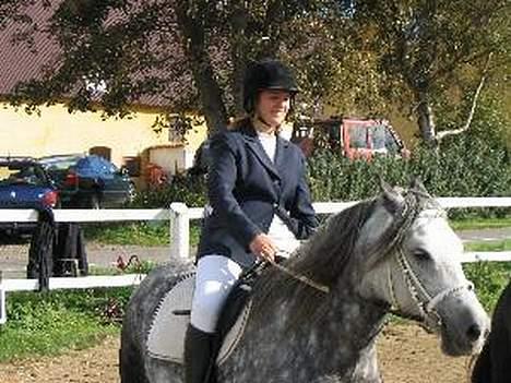 Welsh Cob (sec D) Haymo's Shétán - Shétán og Susan til hans første og eneste stævne (indtil videre). Sep. 03 billede 4