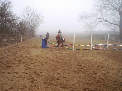 Anden særlig race Robin - ja.. vi springer... taget den 24-3-05 af: C.J.J(12½) billede 3