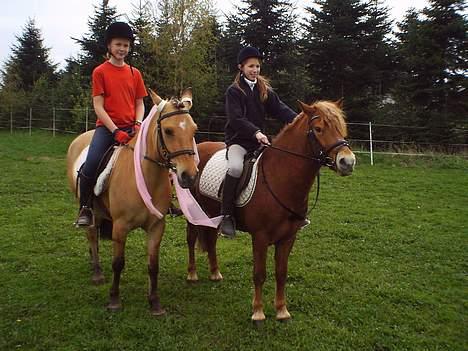 Anden særlig race Robin - nej hvor er jeg spændt.. billede 4