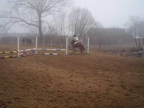 Anden særlig race Robin - her springer vi så.. taget d. 24-3-05 af: C.J.J(12½) herinde fra.. billede 5