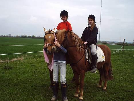 Anden særlig race Robin - Mys.. mys... billede 7