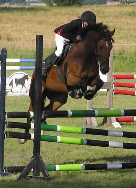 Anden særlig race Atilla-San *RIP* - Atilla og jeg til Distriktsmesterskab for hold i 2004, vi blev  nr. 3 :-) billede 1