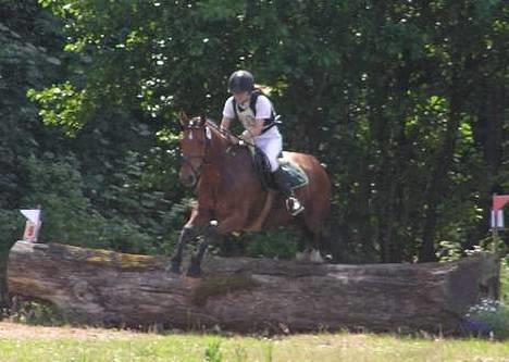 Anden særlig race Atilla-San *RIP* - Haslev d. 10/7 2005. I fuld fart over en træstamme billede 2