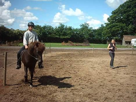 Islænder Hetja fra Lisbjerg - jeg får undervisning af Anne Balslev (verdensmester i T2 (http://www.feif.org/englisch/frameset_englisch.html)) billede 3