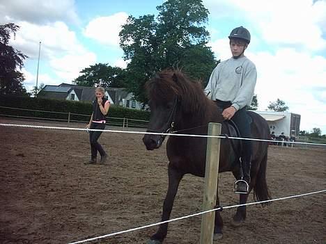 Islænder Hetja fra Lisbjerg - jeg får undervisning af Anne Balslev (verdensmester i T2 (http://www.feif.org/englisch/frameset_englisch.html)) billede 4