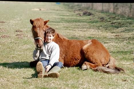 Islænder Lögi fra Höskuldstödum - han er bar så rolig billede 6