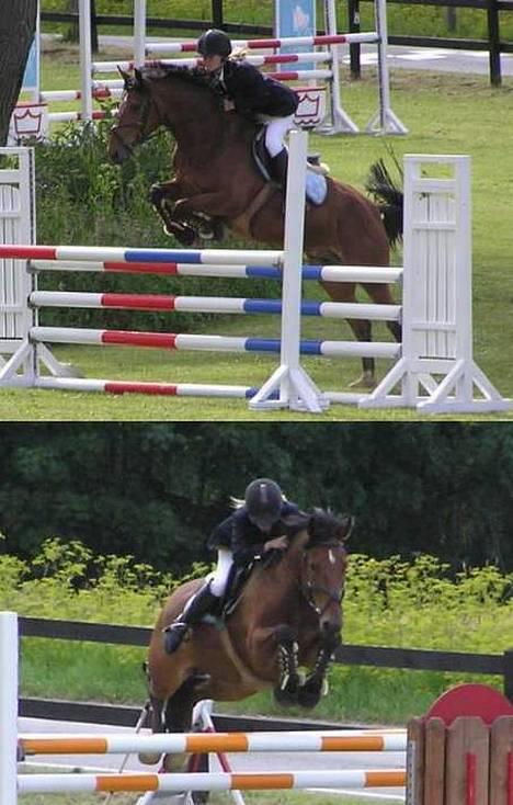 Anden særlig race Atilla-San *RIP* - Her springer vi LA i Værløse d. 23/7 2005, det blev til 2 stop billede 8