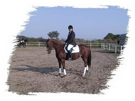 Oldenborg Freja - 1982 til 2013 R.I.P - på opvarmningsbanen billede 4