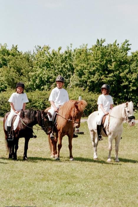 Islænder Lögi fra Höskuldstödum - disriks mesterskab i ponygames... vi blev nr 1 med vores hold...!! og vi kom med til DM i odense billede 7