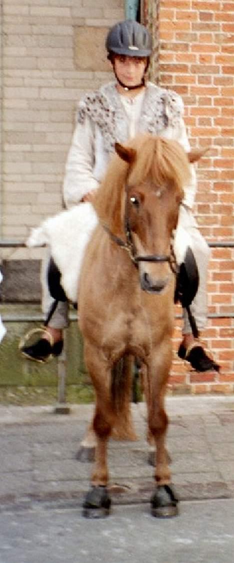 Islænder Lögi fra Höskuldstödum - os som viking... på Lustrupholm, i ribe billede 9