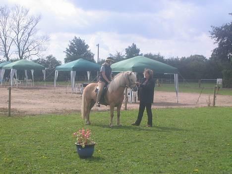 Islænder Snorri f.Reerslev - premie overrækkelse sydjysk.. billede 6