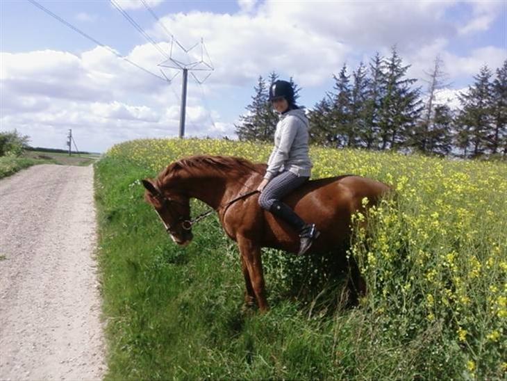 {{currentPhoto.altText}} billede {{currentPhoto.number}}