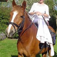 Anden særlig race Tarzan