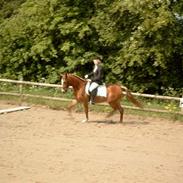 Anden særlig race Tarzan