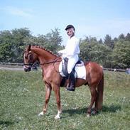 Anden særlig race Tarzan