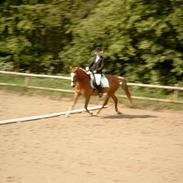 Anden særlig race Tarzan