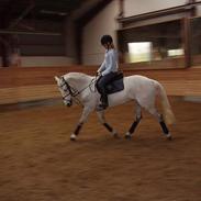 Connemara Skousboe Minion<3