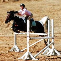 Pinto Araber El Hakim <3