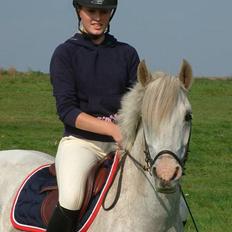 Tysk Sportspony Shadow 79 {Solgt} 