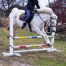 Connemara Skousboe Amazing Grace + 