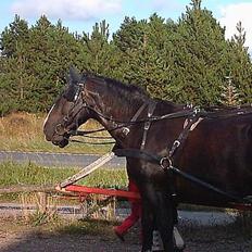 Oldenborg lasse  `` R.I.P ``