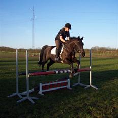 Anden særlig race Phyrus