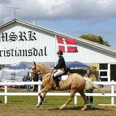 Anden særlig race Valdemar af Lillevang
