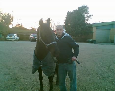 Anden særlig race Shikira (Solgt) billede 13