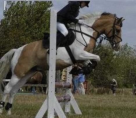 Anden særlig race Filur (tidl. halvpart) - mig og filur august 2004 billede 7