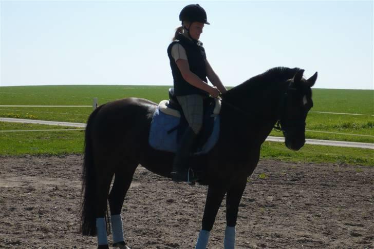 Anden særlig race Stella <'3 * solgt *  - Tak for at i kiggede forbi. :) Kom gerne igen. :) billede 20