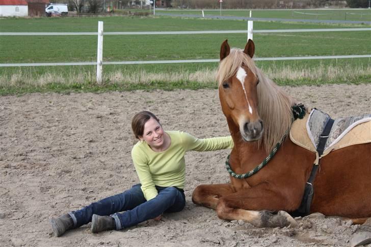 Palomino | Klepholms Krøsus  «3 - Total RÅ hygge :b  billede 14